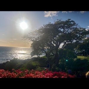 Meet your Posher, Iona